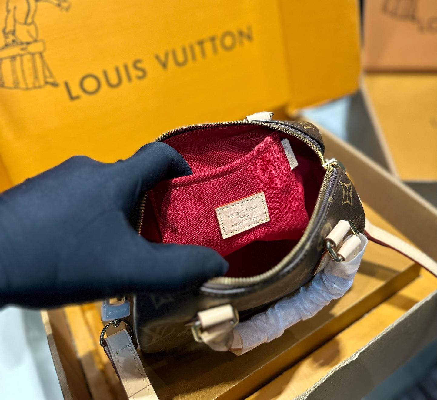 Louis Vuitton Speedy Bandoulière 20 in Monogram Canvas