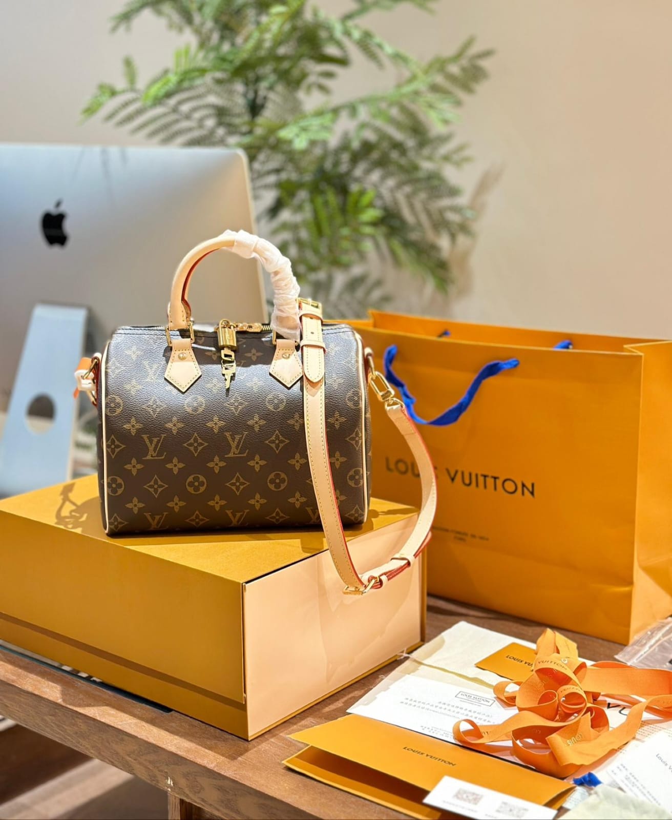 Louis Vuitton Speedy 25 handbag in Monogram Coated Canvas