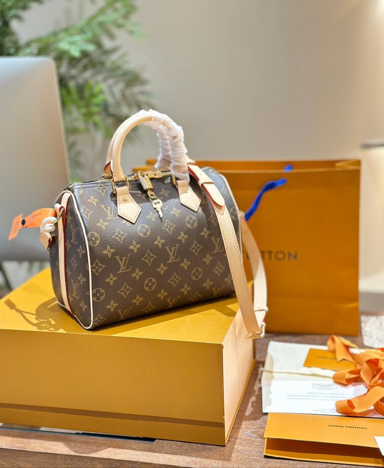 Louis Vuitton Speedy 25 handbag in Monogram Coated Canvas
