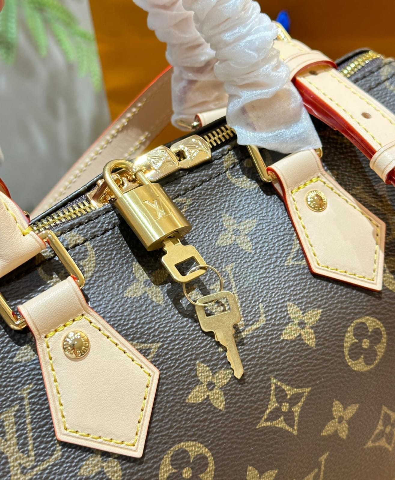 Louis Vuitton Speedy 25 handbag in Monogram Coated Canvas