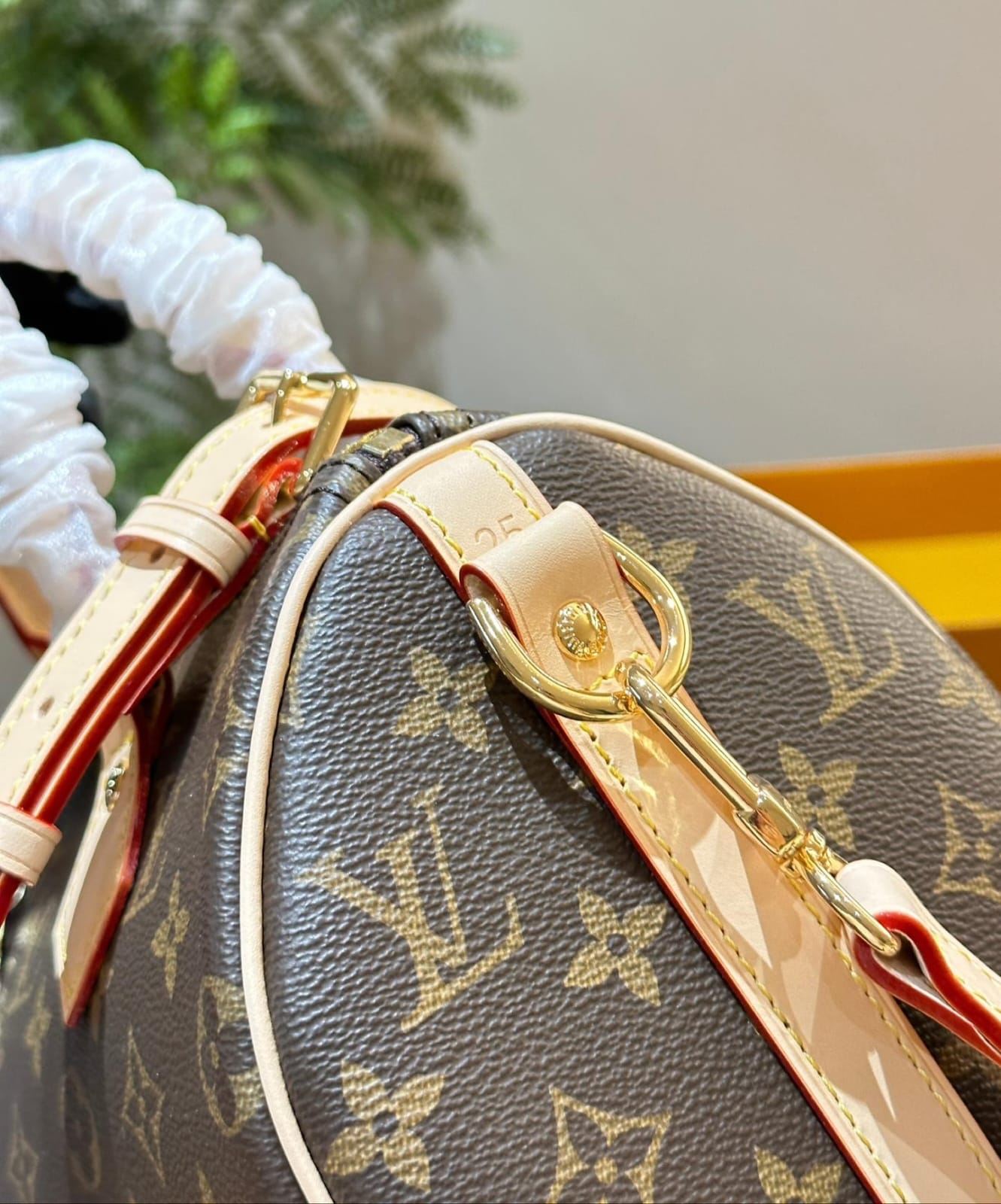 Louis Vuitton Speedy 25 handbag in Monogram Coated Canvas