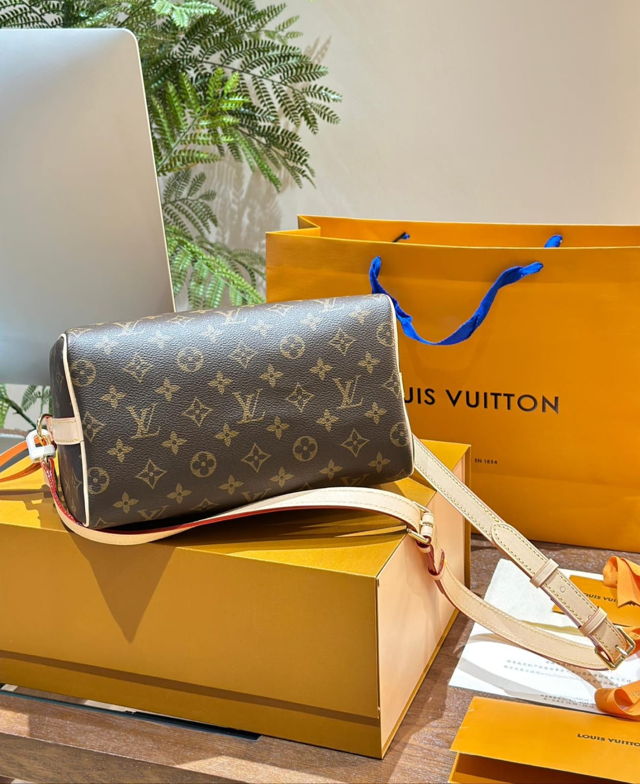 Louis Vuitton Speedy 25 handbag in Monogram Coated Canvas