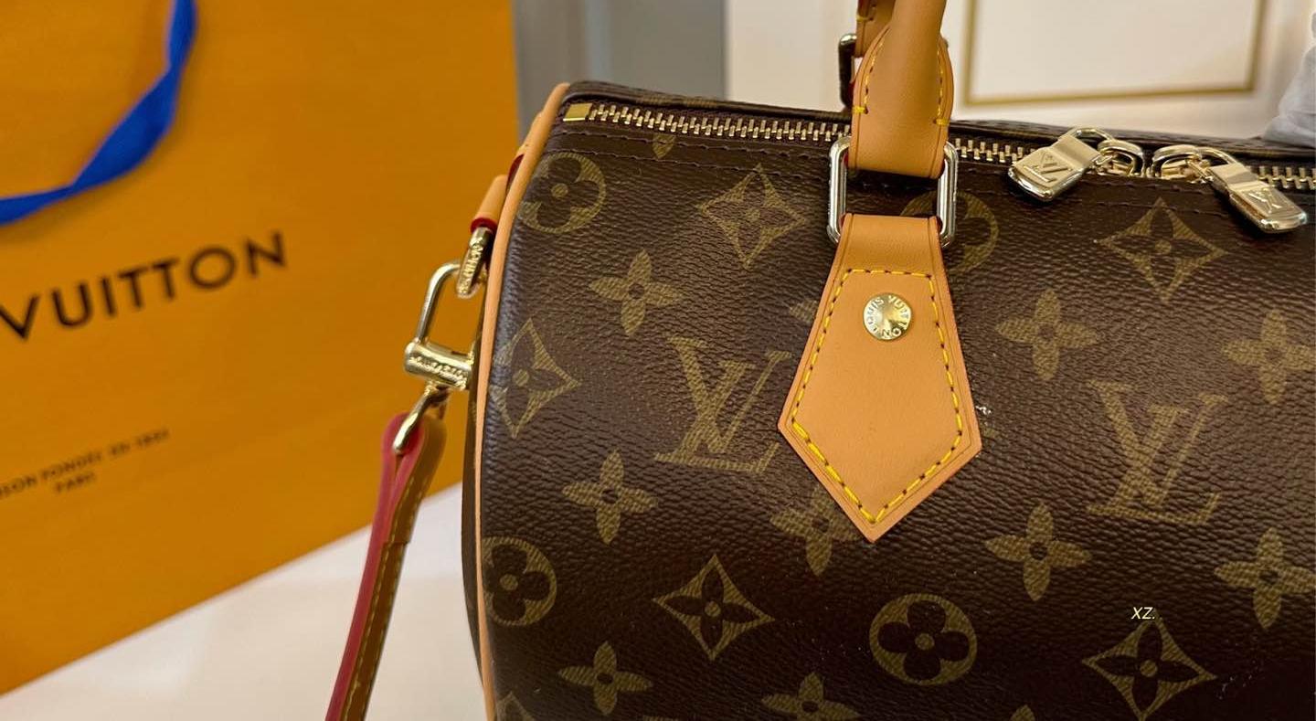 Louis Vuitton Speedy Bandoulière 25 in Monogram
