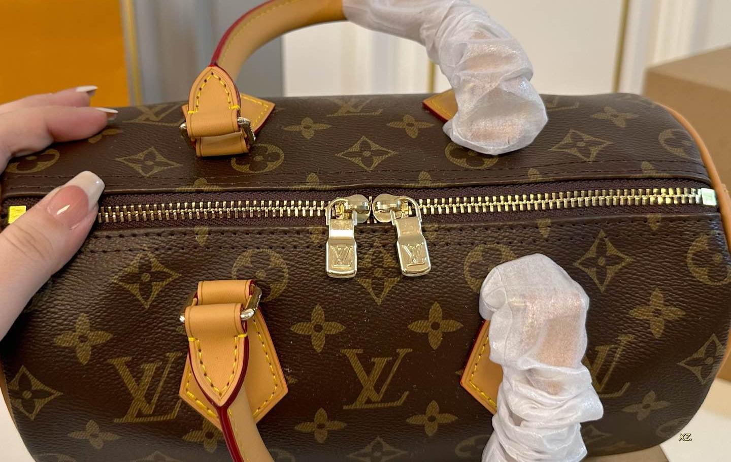 Louis Vuitton Speedy Bandoulière 25 in Monogram
