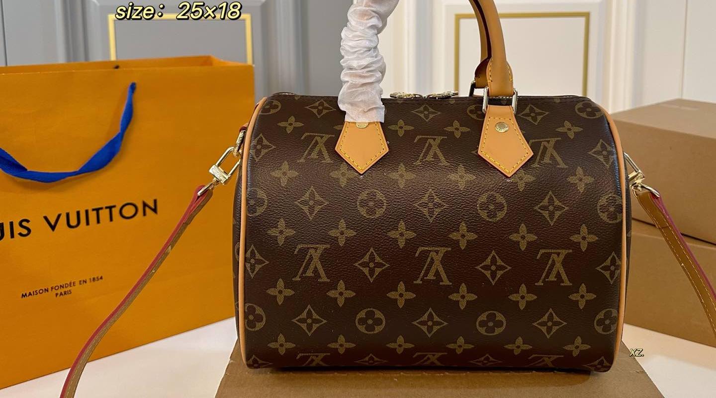 Louis Vuitton Speedy Bandoulière 25 in Monogram