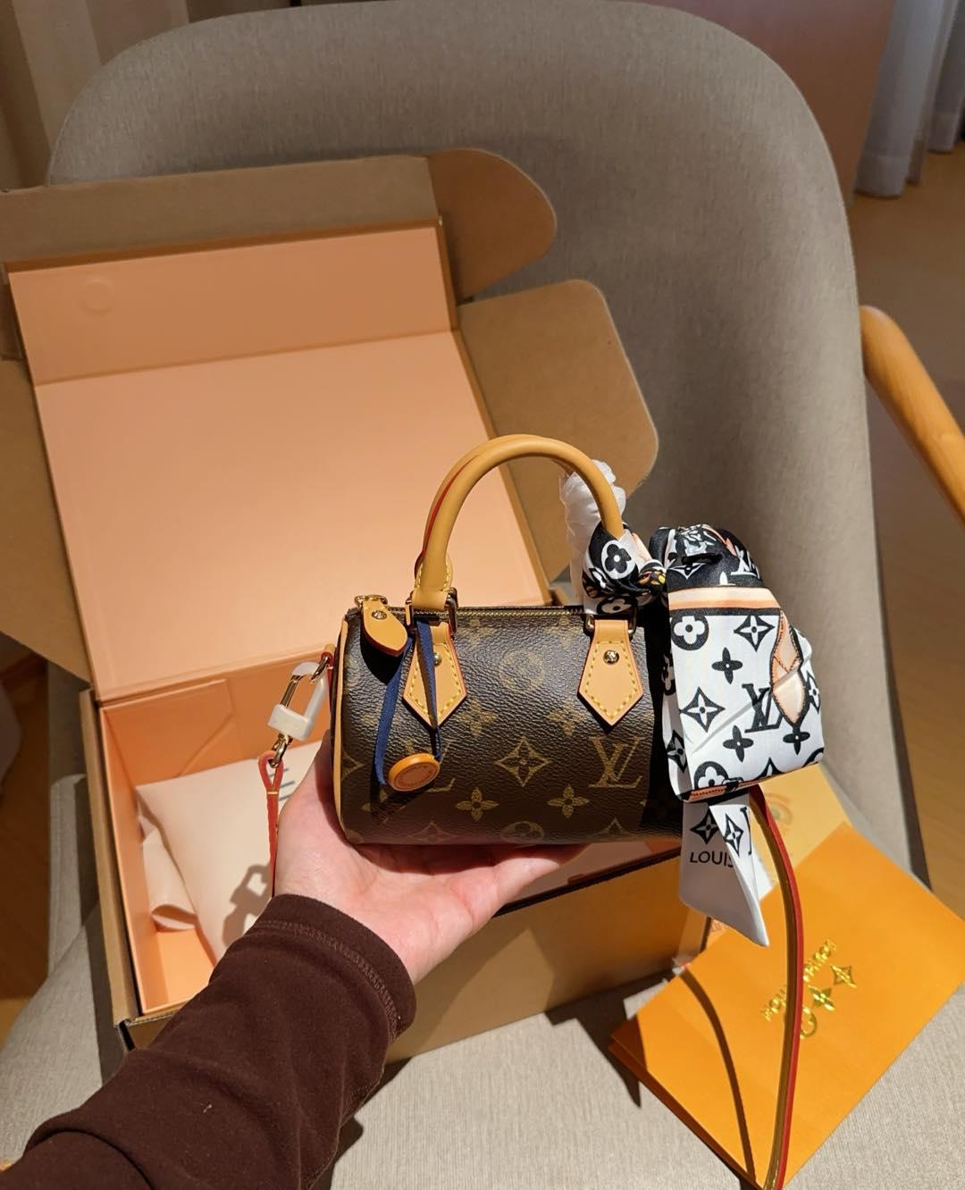 Louis Vuitton Nano Speedy 16 Monogram bag + A silk Lv Scarf
