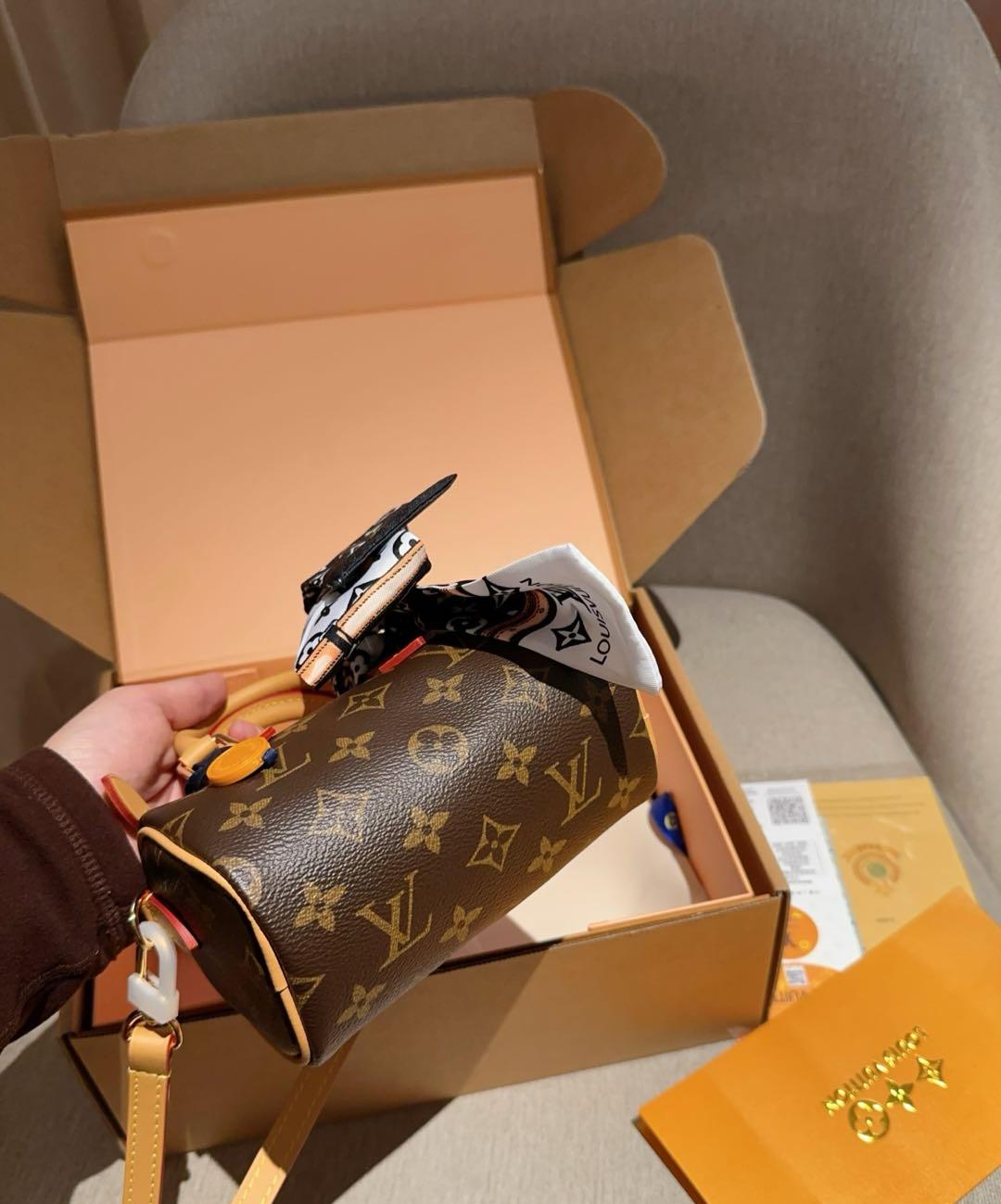 Louis Vuitton Nano Speedy 16 Monogram bag + A silk Lv Scarf