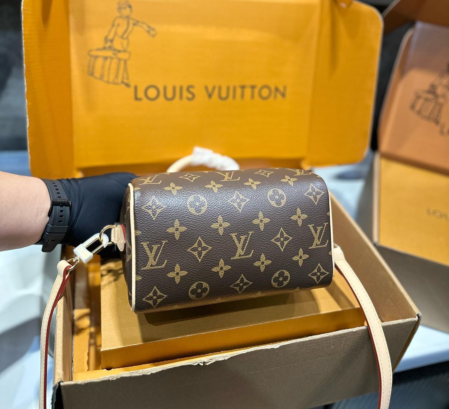 Louis Vuitton Speedy Bandoulière 20 in Monogram Canvas