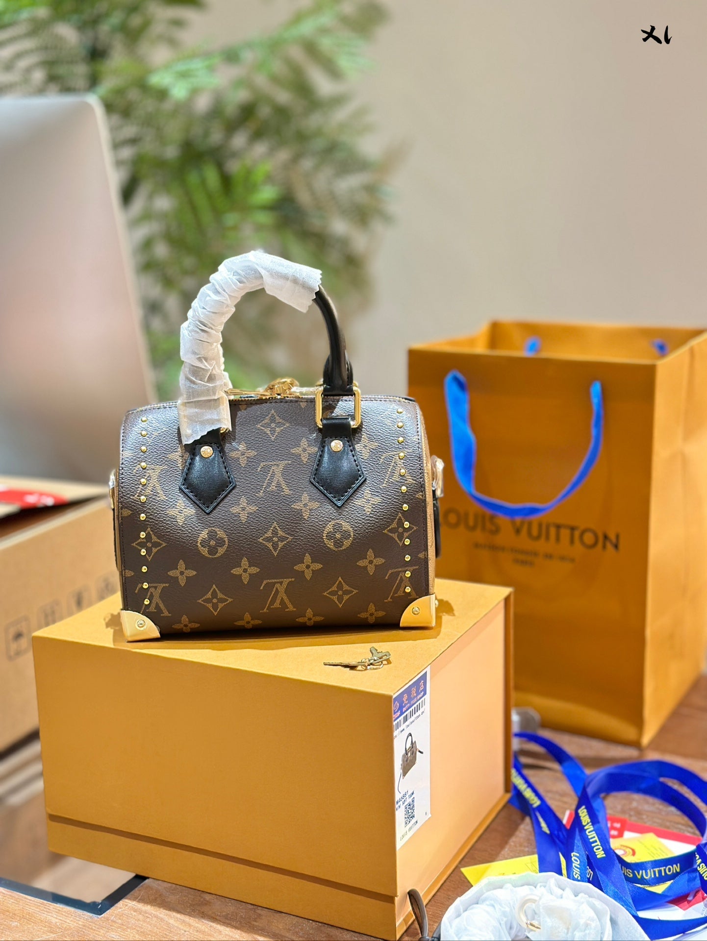 Louis Vuitton Speedy Trunk 20 handbag in Monogram Canvas with Leather Trim
